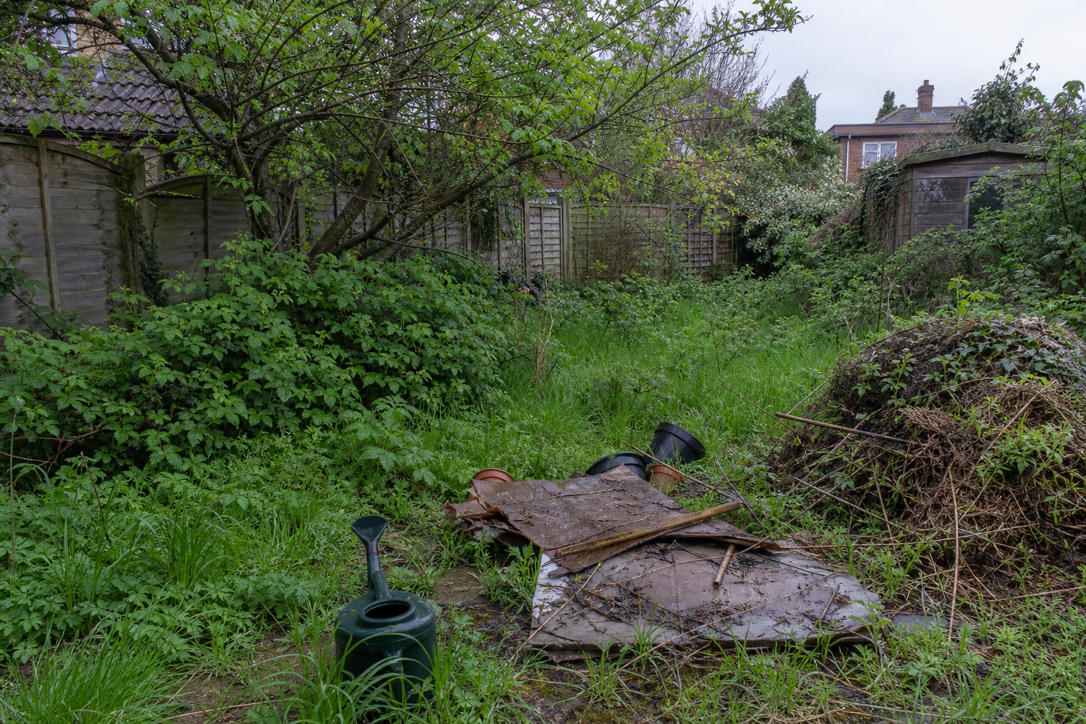 Garden Transformation before