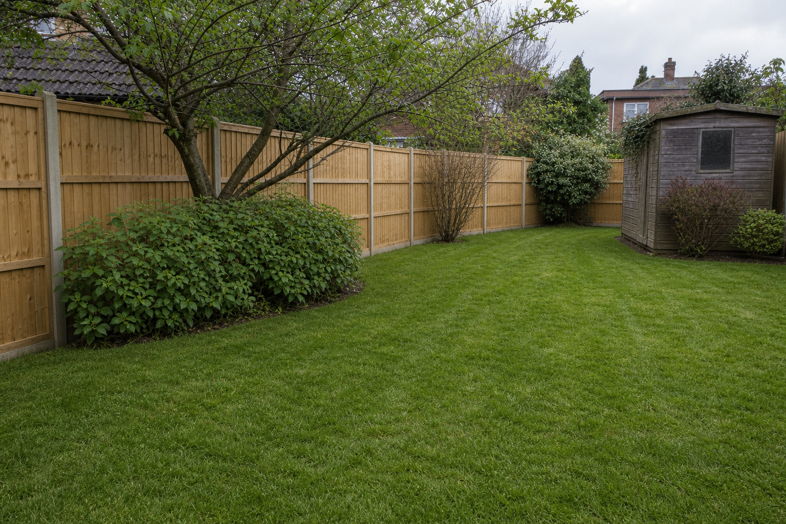 Garden Transformation after